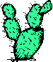 cactus.gif (1618 bytes)